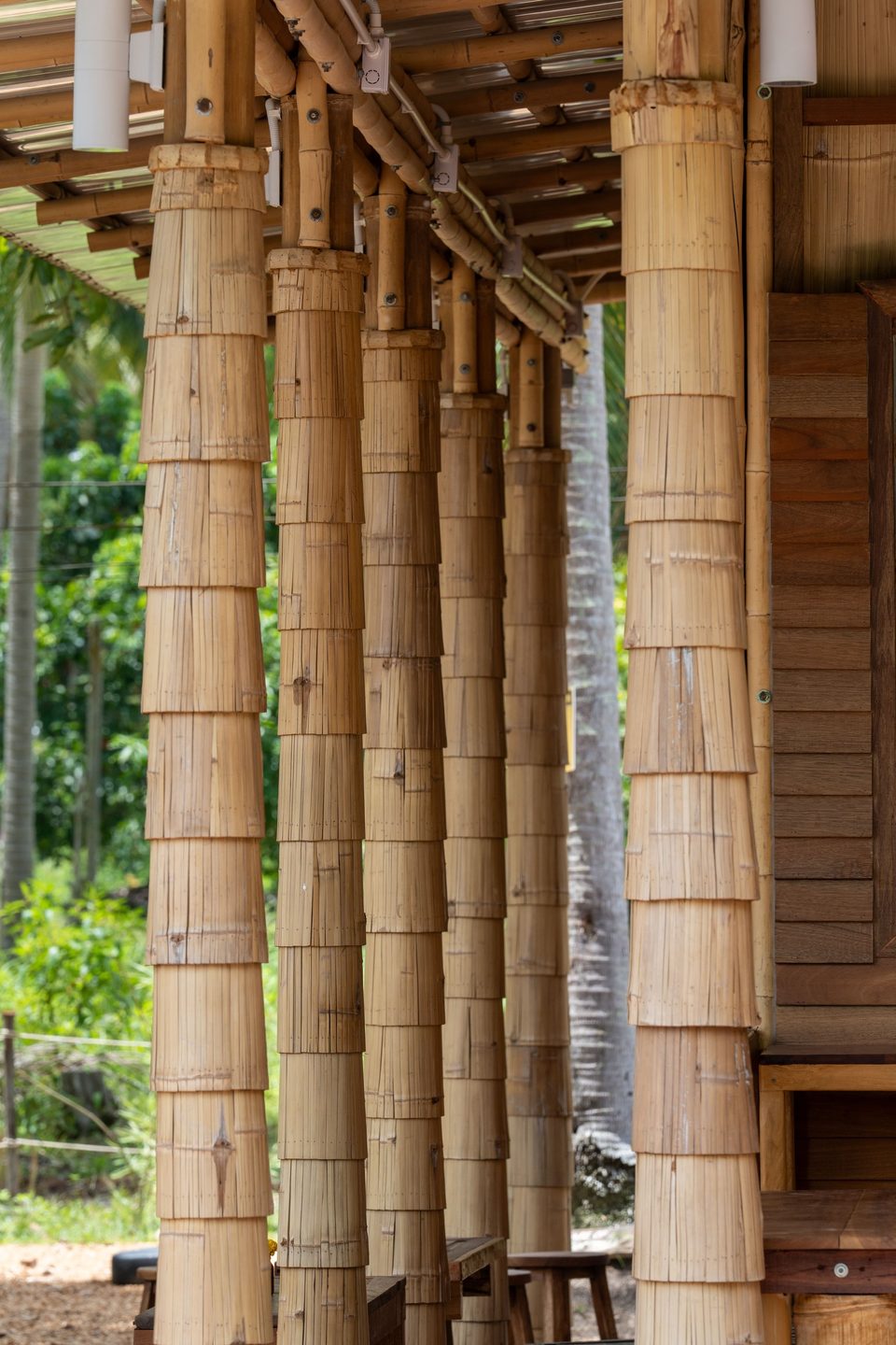 A row of bamboo columns along the veranda, with coconut trees behind