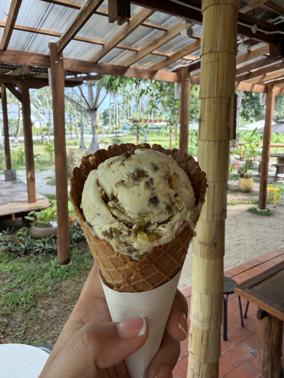 A cone of pistachio ice cream held up under the bamboo pergola in the garden